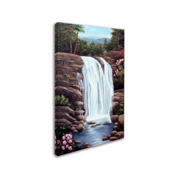 Arie Reinhardt Taylor 'Blue Ridge Waterfall' Canvas Art,22x32